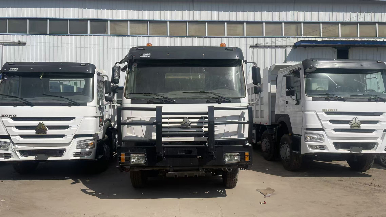 SINOTRUK HOWO 8*4 DUMP TRUCK 371 375 380 420 HP - Kravas automašīna dzīvnieku pārvadāšanai: foto 1 SINOTRUK HOWO 8*4 DUMP TRUCK 371 375 380 420 HP - Kravas automašīna dzīvnieku pārvadāšanai: foto 1