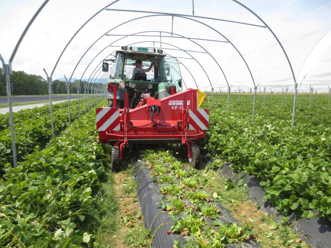 Grimme KP 1700 - Vīnogu mašīna: foto 2 Grimme KP 1700 - Vīnogu mašīna: foto 2