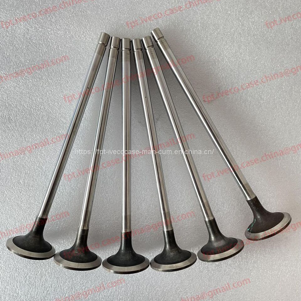 FPT IVECO CASE Cursor11 F3GFE613A B001 5801863562/5801690111 valve 5801487019 - Vārsts: foto 3 FPT IVECO CASE Cursor11 F3GFE613A B001 5801863562/5801690111 valve 5801487019 - Vārsts: foto 3