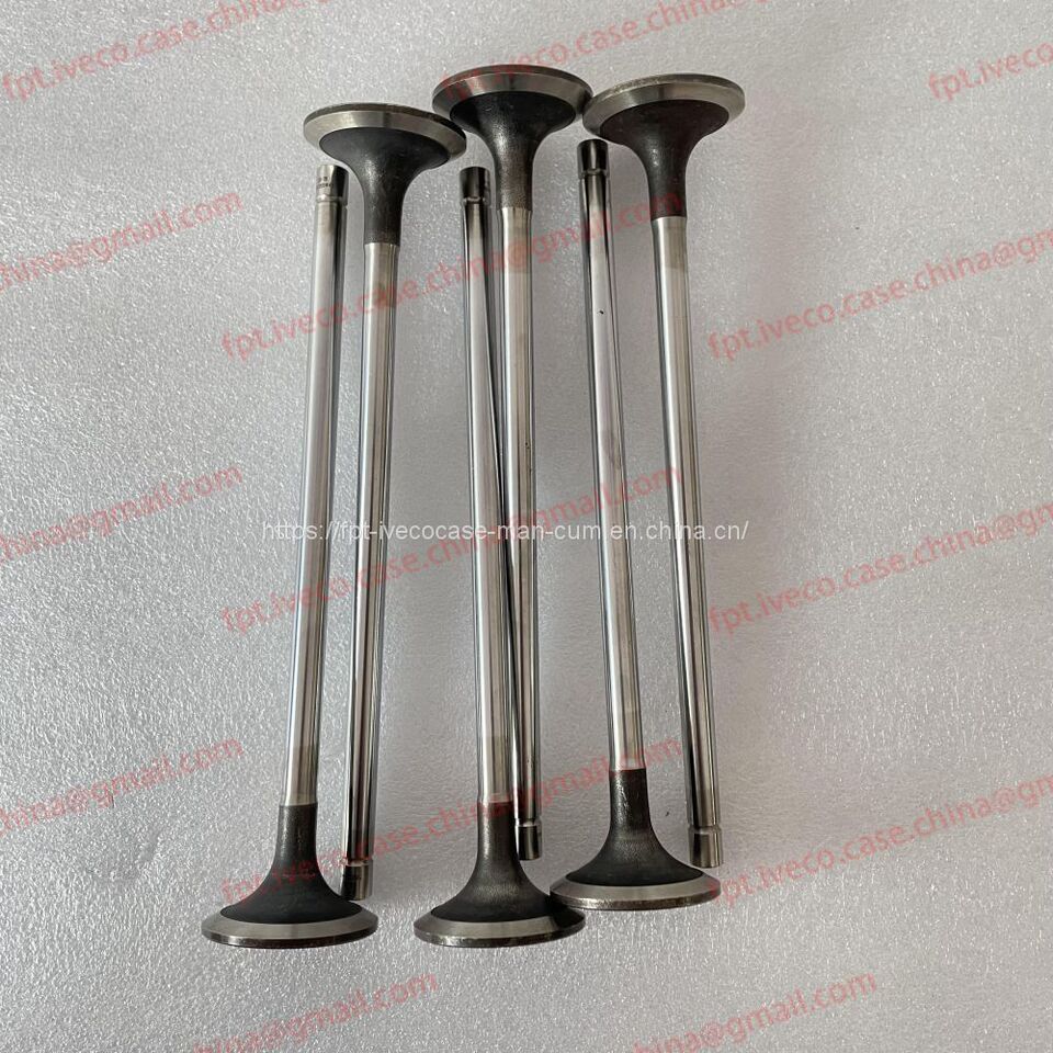 FPT IVECO CASE Cursor11 F3GFE613A B001 5801863562/5801690111 valve 5801487019 - Vārsts: foto 1 FPT IVECO CASE Cursor11 F3GFE613A B001 5801863562/5801690111 valve 5801487019 - Vārsts: foto 1