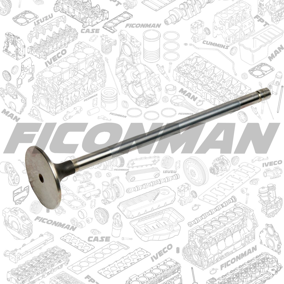 FPT IVECO CASE Cursor9 F2CFE614A*B041/F2CGE614F*V004 5802431166 Intake Valve500354685 - Vārsts: foto 1 FPT IVECO CASE Cursor9 F2CFE614A*B041/F2CGE614F*V004 5802431166 Intake Valve500354685 - Vārsts: foto 1