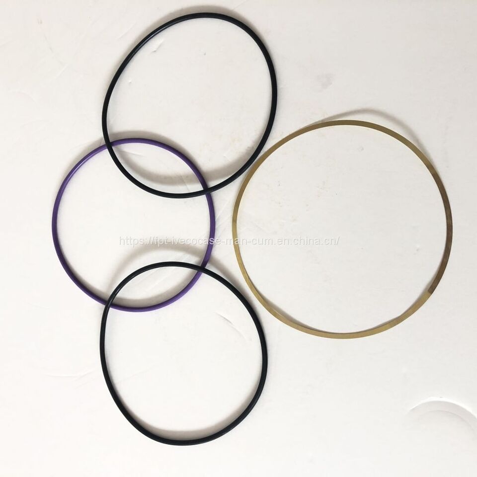 FPT IVECO CASE Cursor9Bus F2CFE612D*J231/F2CFE612A*J098 5802748674 Cylinder liner piston assembly 500055241 - Dzinējs - Autobuss: foto 2 FPT IVECO CASE Cursor9Bus F2CFE612D*J231/F2CFE612A*J098 5802748674 Cylinder liner piston assembly 500055241 - Dzinējs - Autobuss: foto 2