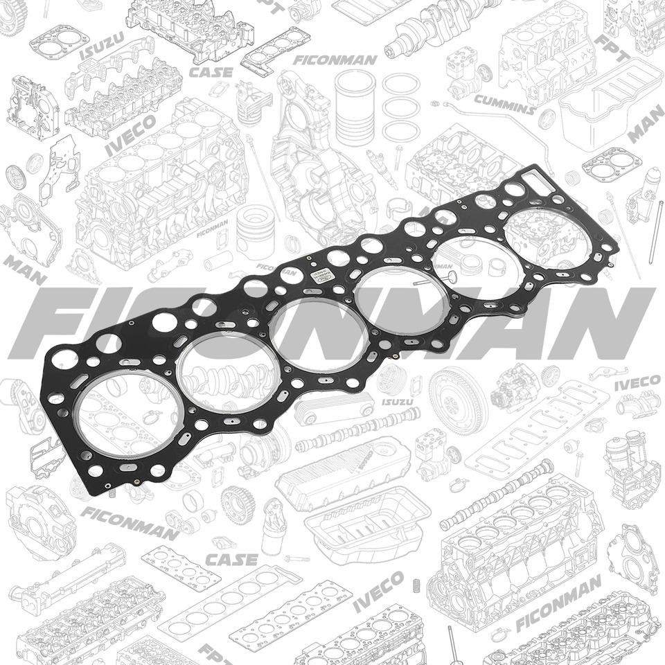 Ford Ford Trucks F-MAX ECOTORQ 9L Cylinder head gasket 6C466051AC 6C466051AB - Motora galvas blīve - Kravas automašīna: foto 1 Ford Ford Trucks F-MAX ECOTORQ 9L Cylinder head gasket 6C466051AC 6C466051AB - Motora galvas blīve - Kravas automašīna: foto 1