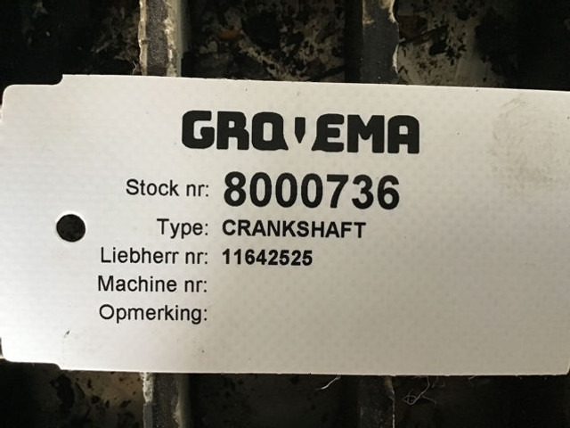 Liebherr Crankshaft - Kloķvārpsta: foto 4 Liebherr Crankshaft - Kloķvārpsta: foto 4