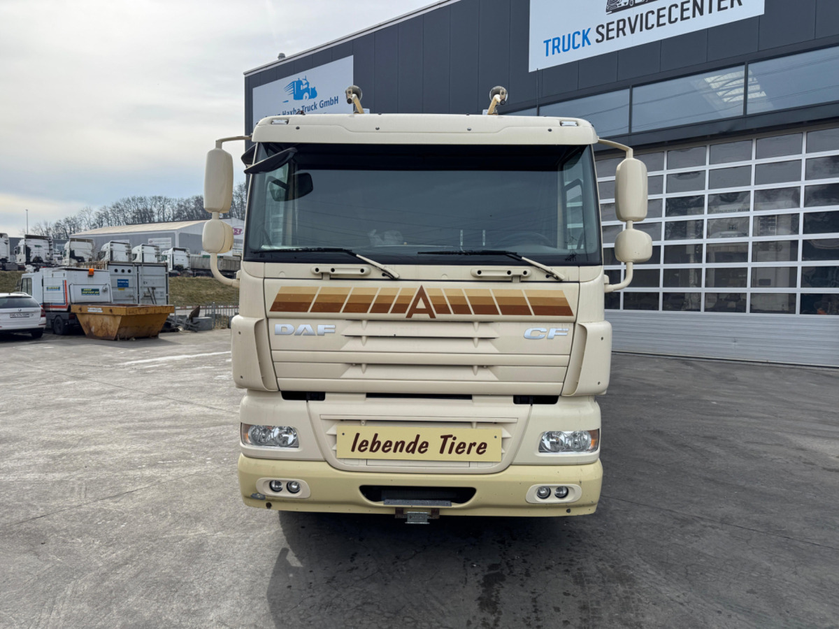DAF CF410 4x2 - Kravas automašīna dzīvnieku pārvadāšanai: foto 2 DAF CF410 4x2 - Kravas automašīna dzīvnieku pārvadāšanai: foto 2