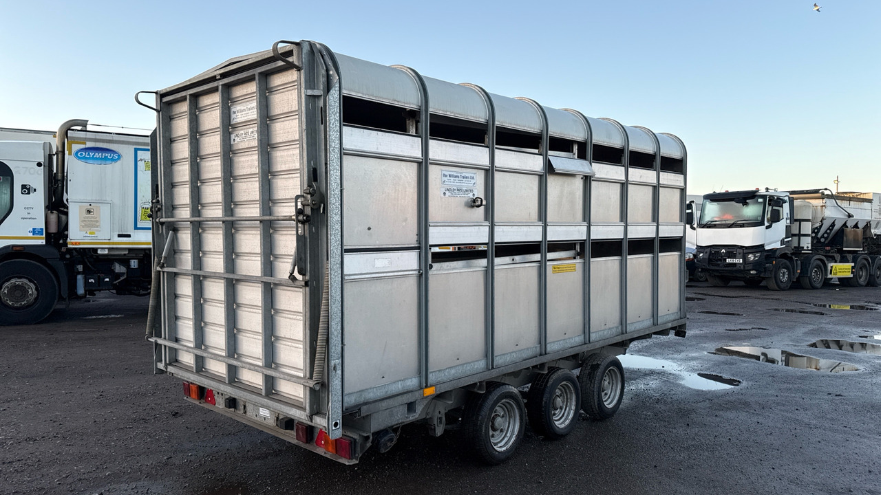 IFOR WILLIAMS DP120S3-4 - Piekabe dzīvnieku pārvadāšanai: foto 5 IFOR WILLIAMS DP120S3-4 - Piekabe dzīvnieku pārvadāšanai: foto 5