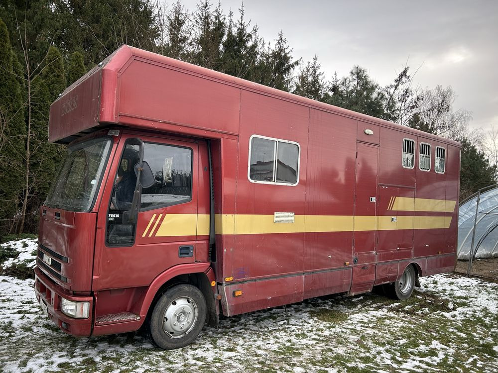 Kamper koniowoz Iveco 2w1 - Zirgu kravas automašīna: foto 1 Kamper koniowoz Iveco 2w1 - Zirgu kravas automašīna: foto 1