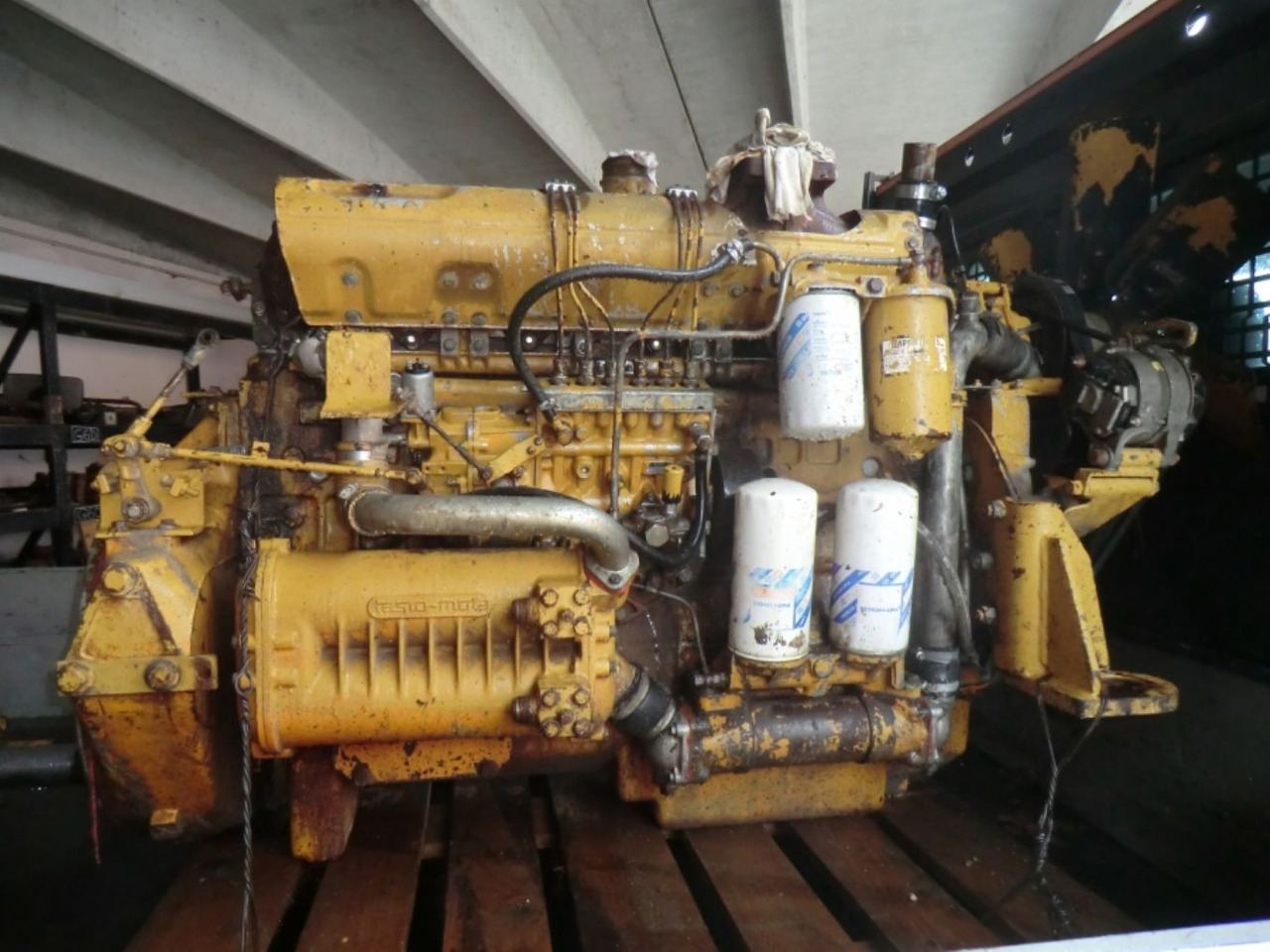 FIAT 8215-02 *542 Motore perfettamente funzionante completo di pompa nafta e iniettori revisionati. - Dzinējs - Celtniecības tehnika: foto 1 FIAT 8215-02 *542 Motore perfettamente funzionante completo di pompa nafta e iniettori revisionati. - Dzinējs - Celtniecības tehnika: foto 1