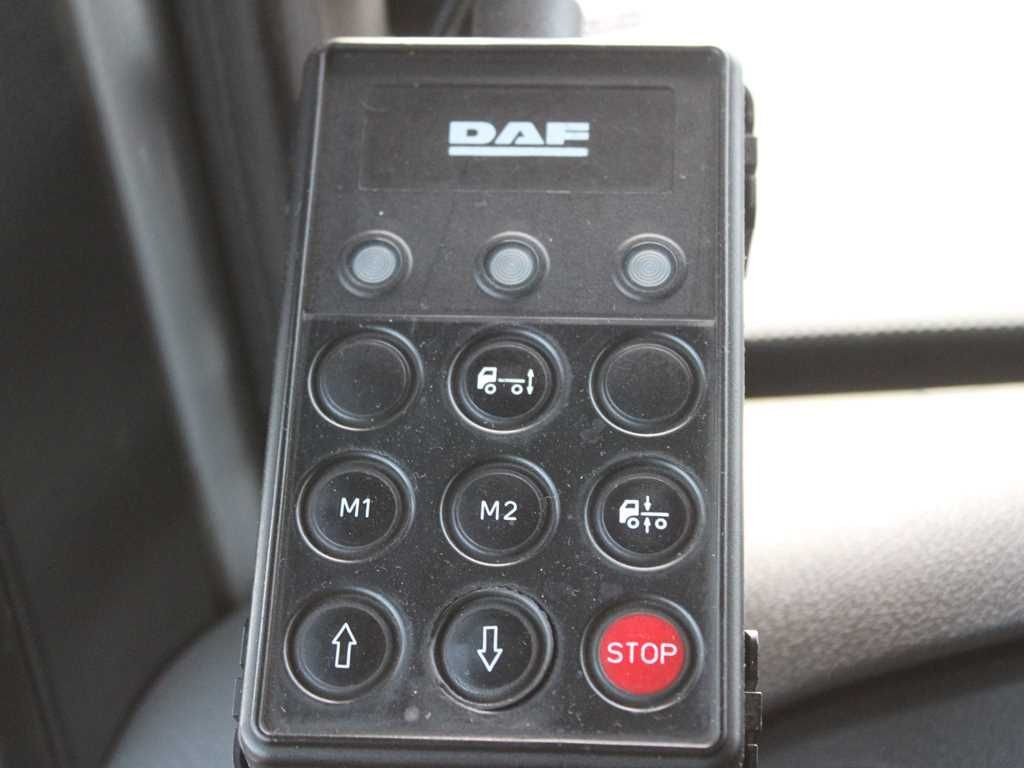 Pacēlājs ar āķi DAF XF 460, EURO 6, 8X2, 2X LIFTING AXLE, PALFINGER: foto 12
