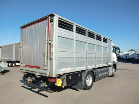 MAN TGS 18.420 Tiertransporter,Euro 6, Manual Seilwinde, el. Ladebordwand Voll Luft - Zirgu kravas automašīna: foto 4 MAN TGS 18.420 Tiertransporter,Euro 6, Manual Seilwinde, el. Ladebordwand Voll Luft - Zirgu kravas automašīna: foto 4