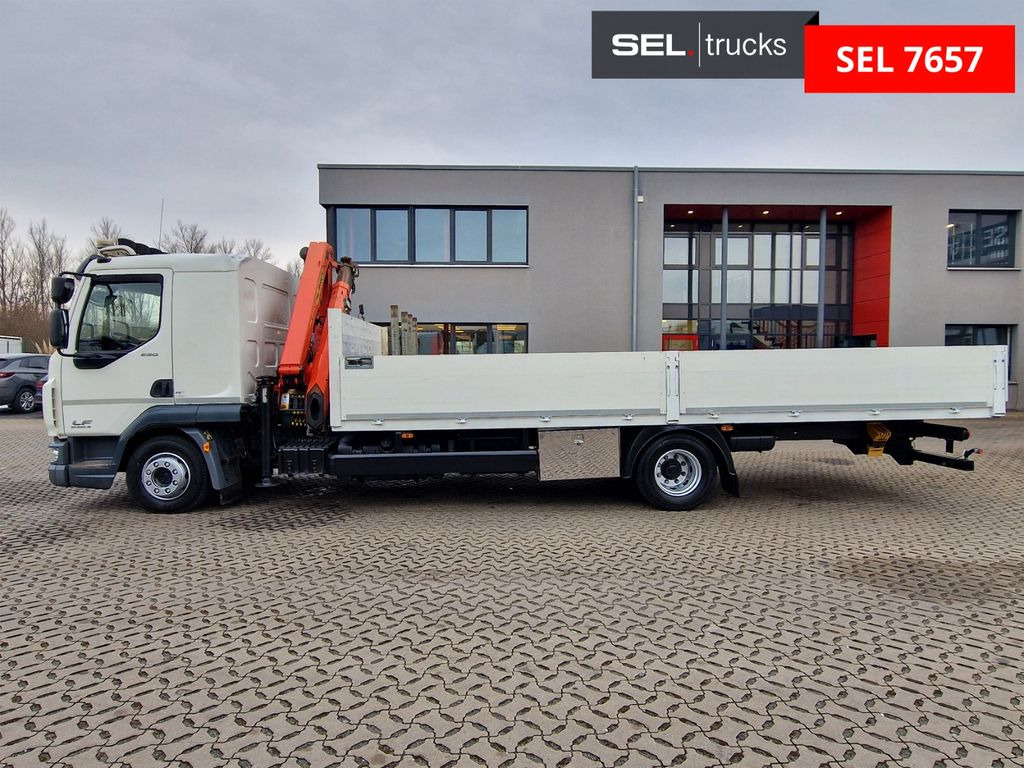 Kravas auto ar manipulatoru, Bortu kravas automašīna/ Platforma DAF LF 250FA / Palfinger PK8501A: foto 8