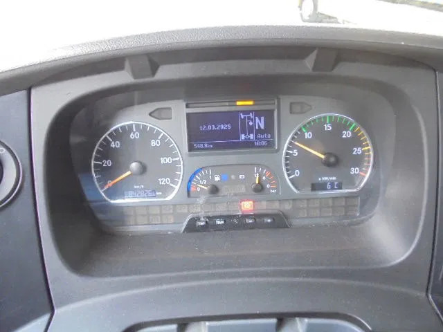 Auto evakuators Mercedes-Benz Atego 1224 NL TRUCK: foto 19