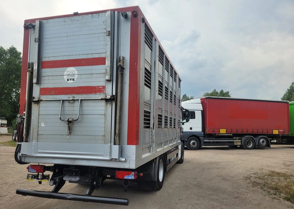MAN TGS 18.400 Euro 6 do żywca - Kravas automašīna dzīvnieku pārvadāšanai: foto 4 MAN TGS 18.400 Euro 6 do żywca - Kravas automašīna dzīvnieku pārvadāšanai: foto 4