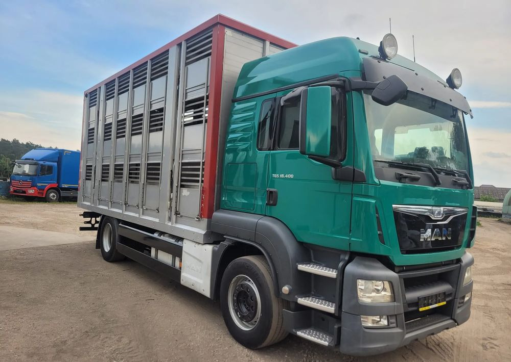 MAN TGS 18.400 Euro 6 do żywca - Kravas automašīna dzīvnieku pārvadāšanai: foto 2 MAN TGS 18.400 Euro 6 do żywca - Kravas automašīna dzīvnieku pārvadāšanai: foto 2