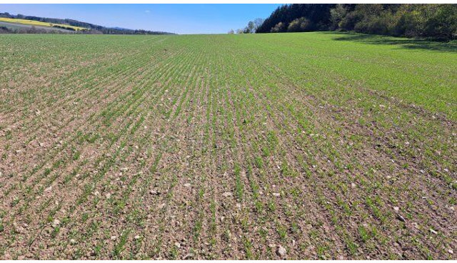 Farmet Falcon 6 PRO Fert+ - Kombinētā sējmašīna: foto 3 Farmet Falcon 6 PRO Fert+ - Kombinētā sējmašīna: foto 3