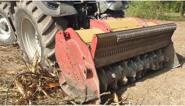 SEPPI M Starforst 2MEC 235 - Meža mulčeris: foto 1 SEPPI M Starforst 2MEC 235 - Meža mulčeris: foto 1