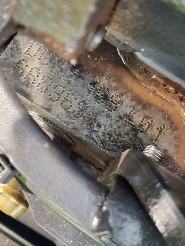 Dzinējs - Kravas automašīna Scania DC09 108 L01 Engine (Truck): foto 11