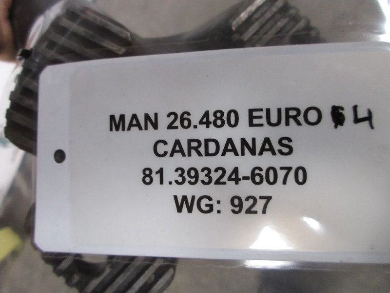 Pusass - Kravas automašīna MAN 81.39325-6162 // 81.39324-6070 AANDRIJFAS MAN 26.540 6X6: foto 10