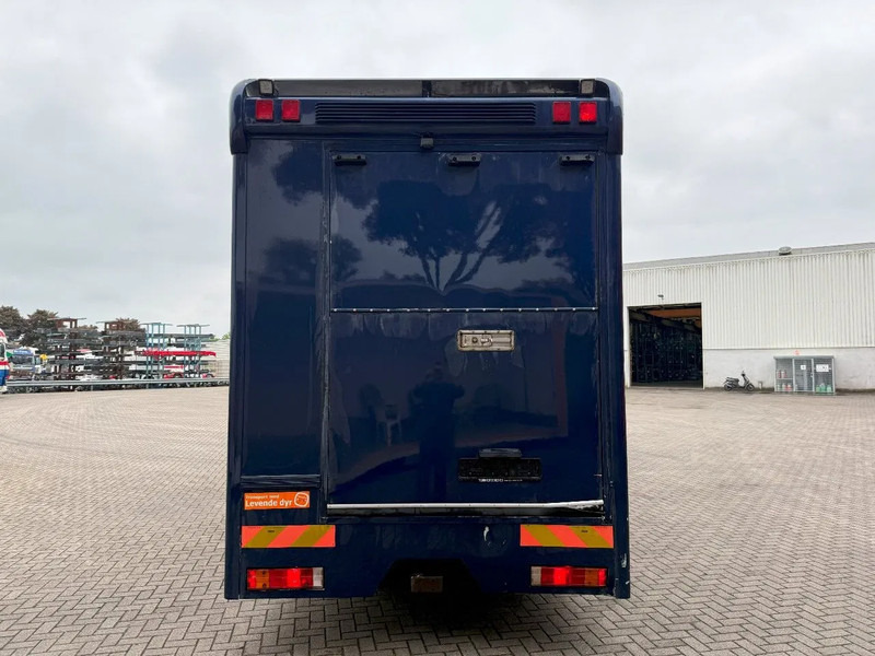 Mercedes-Benz Atego 1223 / ENGINE RUNNING / ONLY:159450 KM / HORSETRUCK / HEATED BOX / WATERTANK / LIVING ROOM / EURO-2 / MANUAL / 1998 - Zirgu kravas automašīna: foto 4 Mercedes-Benz Atego 1223 / ENGINE RUNNING / ONLY:159450 KM / HORSETRUCK / HEATED BOX / WATERTANK / LIVING ROOM / EURO-2 / MANUAL / 1998 - Zirgu kravas automašīna: foto 4