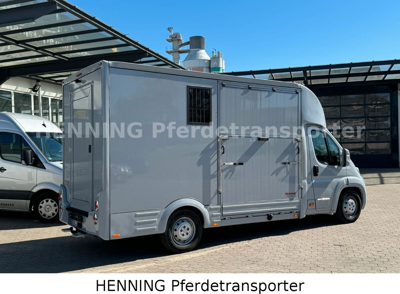 Citroën Jumper 3 - Sitzer *AUFBAU NEU* - Zirgu kravas automašīna: foto 3 Citroën Jumper 3 - Sitzer *AUFBAU NEU* - Zirgu kravas automašīna: foto 3