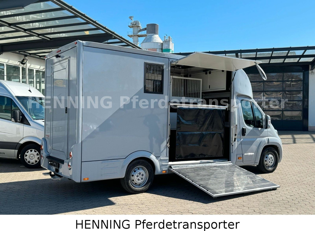 Citroën Jumper 3 - Sitzer *AUFBAU NEU* - Zirgu kravas automašīna: foto 4 Citroën Jumper 3 - Sitzer *AUFBAU NEU* - Zirgu kravas automašīna: foto 4