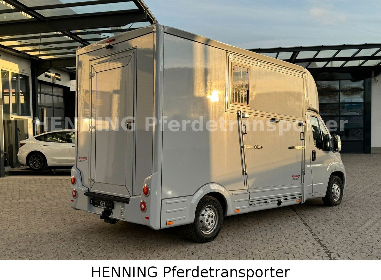 Citroën Jumper 3 - Sitzer - Kravas automašīna dzīvnieku pārvadāšanai: foto 3 Citroën Jumper 3 - Sitzer - Kravas automašīna dzīvnieku pārvadāšanai: foto 3