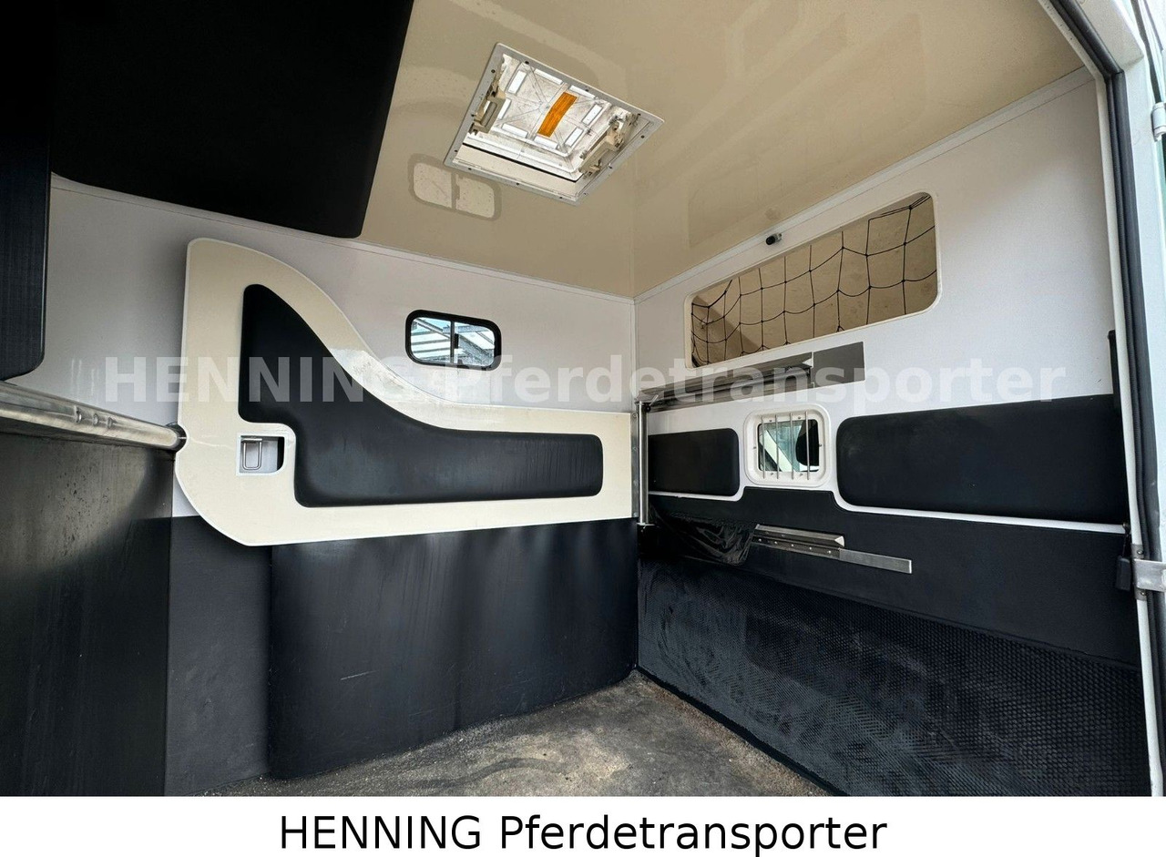 Fiat Ducato 3-Sitzer - Zirgu kravas automašīna, Komercauto: foto 5 Fiat Ducato 3-Sitzer - Zirgu kravas automašīna, Komercauto: foto 5