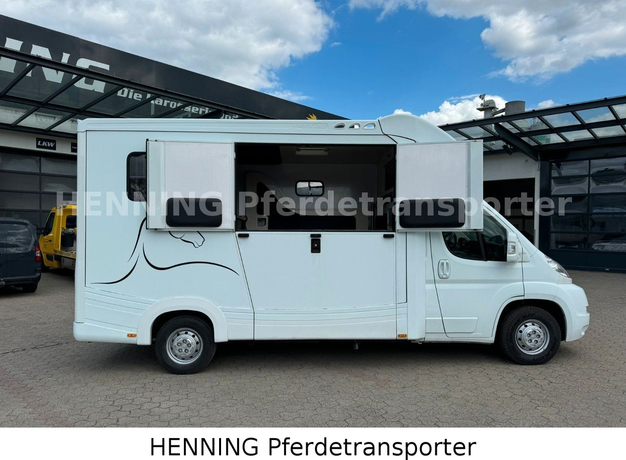 Fiat Ducato 3-Sitzer - Zirgu kravas automašīna, Komercauto: foto 3 Fiat Ducato 3-Sitzer - Zirgu kravas automašīna, Komercauto: foto 3