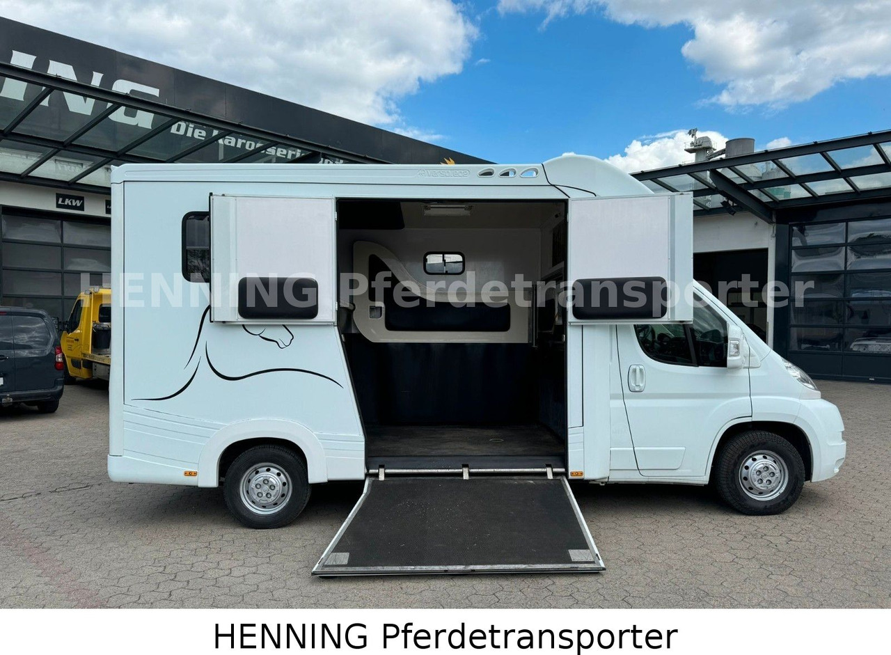 Fiat Ducato 3-Sitzer - Zirgu kravas automašīna, Komercauto: foto 4 Fiat Ducato 3-Sitzer - Zirgu kravas automašīna, Komercauto: foto 4