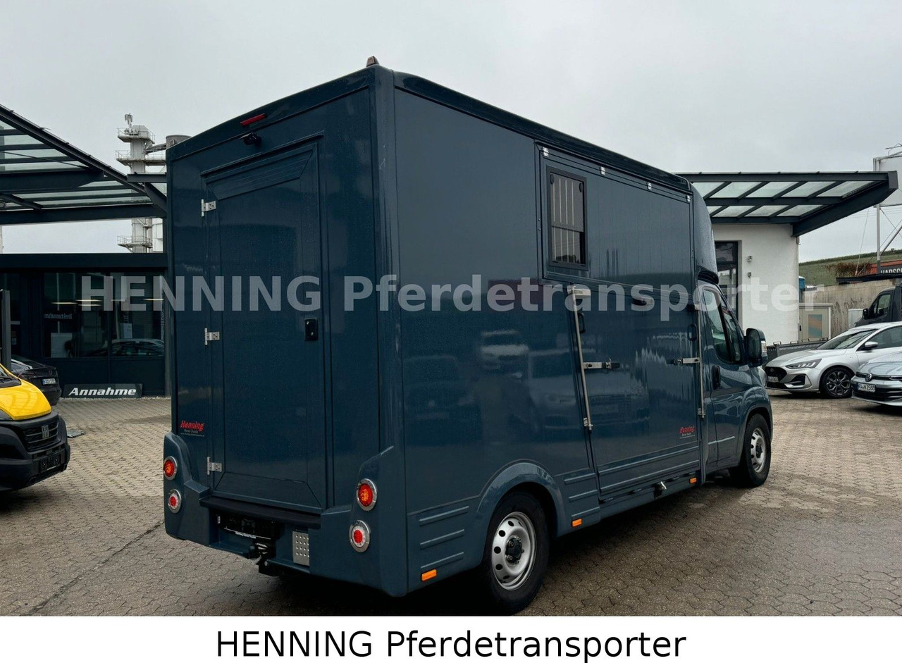 Fiat Ducato *AUTOMATIK* 3 - Sitzer - Kravas automašīna dzīvnieku pārvadāšanai: foto 3 Fiat Ducato *AUTOMATIK* 3 - Sitzer - Kravas automašīna dzīvnieku pārvadāšanai: foto 3