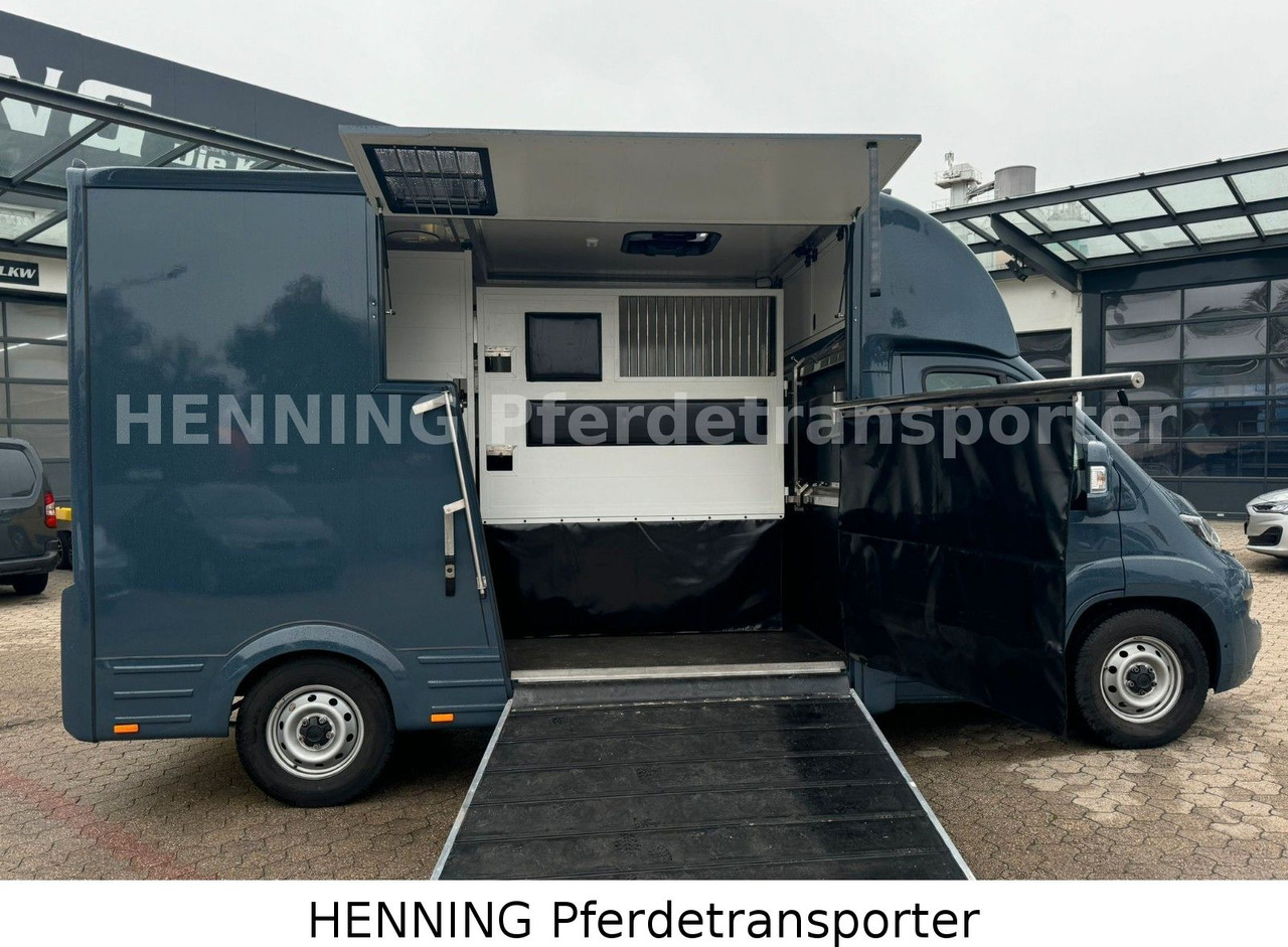 Fiat Ducato *AUTOMATIK* 3 - Sitzer - Kravas automašīna dzīvnieku pārvadāšanai: foto 4 Fiat Ducato *AUTOMATIK* 3 - Sitzer - Kravas automašīna dzīvnieku pārvadāšanai: foto 4
