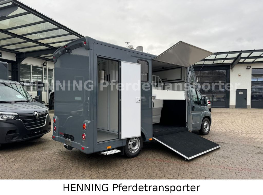 Fiat Ducato *NEUWAGEN* ca.1100 kg Nutzlast - Zirgu kravas automašīna: foto 3 Fiat Ducato *NEUWAGEN* ca.1100 kg Nutzlast - Zirgu kravas automašīna: foto 3