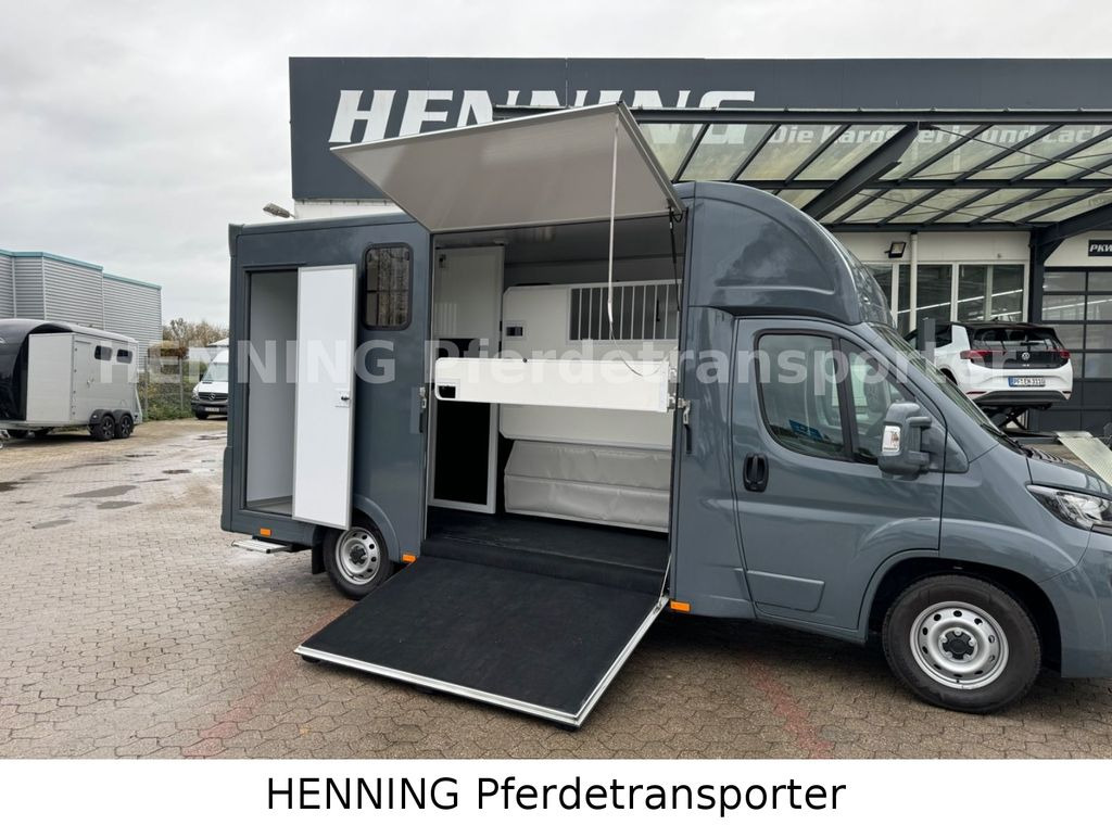 Fiat Ducato *NEUWAGEN* ca.1100 kg Nutzlast - Zirgu kravas automašīna: foto 4 Fiat Ducato *NEUWAGEN* ca.1100 kg Nutzlast - Zirgu kravas automašīna: foto 4