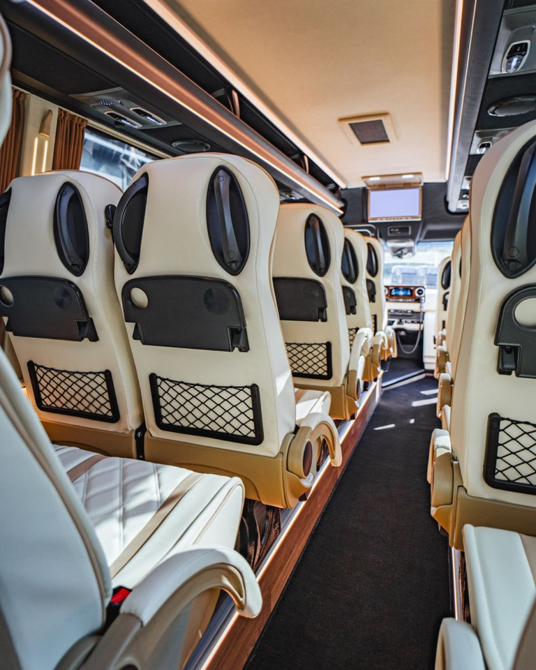 Mikroautobuss, Pasažieru furgons Mercedes-Benz Sprinter 519 Luxury Bus / 19+1+1 / Panorama XL: foto 20