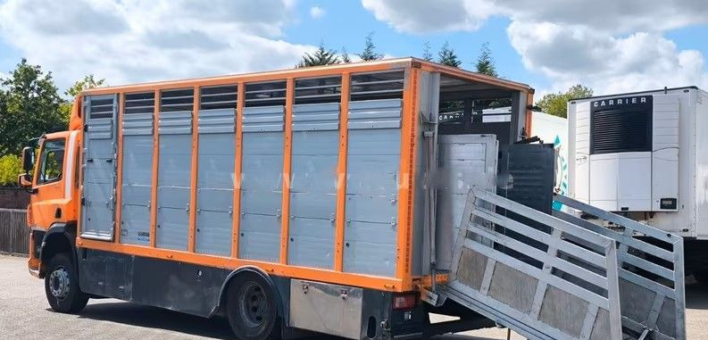 DAF CF 400 Menke Einstock | Transport zwierząt jednopoziomowy | 2 kratownice do bydła| Retarder | Euro 6 - Kravas automašīna dzīvnieku pārvadāšanai: foto 4 DAF CF 400 Menke Einstock | Transport zwierząt jednopoziomowy | 2 kratownice do bydła| Retarder | Euro 6 - Kravas automašīna dzīvnieku pārvadāšanai: foto 4