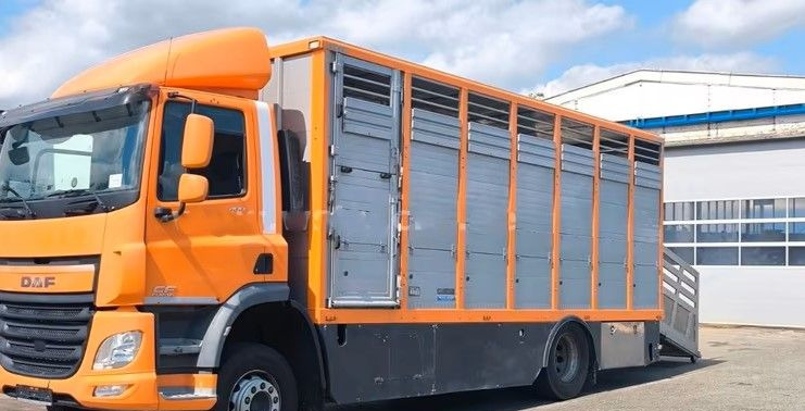 DAF CF 400 Menke Einstock | Transport zwierząt jednopoziomowy | 2 kratownice do bydła| Retarder | Euro 6 - Kravas automašīna dzīvnieku pārvadāšanai: foto 2 DAF CF 400 Menke Einstock | Transport zwierząt jednopoziomowy | 2 kratownice do bydła| Retarder | Euro 6 - Kravas automašīna dzīvnieku pārvadāšanai: foto 2
