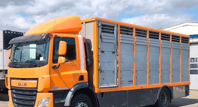 DAF CF 400 Menke Einstock | Transport zwierząt jednopoziomowy | 2 kratownice do bydła| Retarder | Euro 6 - Kravas automašīna dzīvnieku pārvadāšanai: foto 3 DAF CF 400 Menke Einstock | Transport zwierząt jednopoziomowy | 2 kratownice do bydła| Retarder | Euro 6 - Kravas automašīna dzīvnieku pārvadāšanai: foto 3