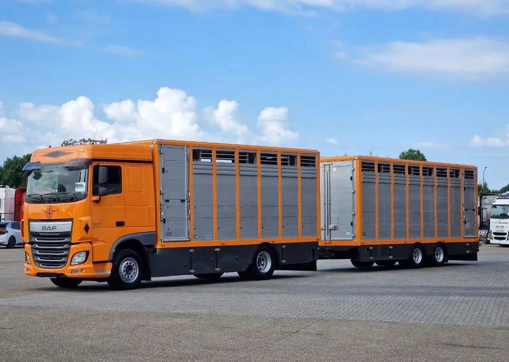 DAF XF 460 4x2 SpaceCab – Menke Livestock | 1 pokład | Euro 6 | 2016 - Kravas automašīna dzīvnieku pārvadāšanai: foto 1 DAF XF 460 4x2 SpaceCab – Menke Livestock | 1 pokład | Euro 6 | 2016 - Kravas automašīna dzīvnieku pārvadāšanai: foto 1