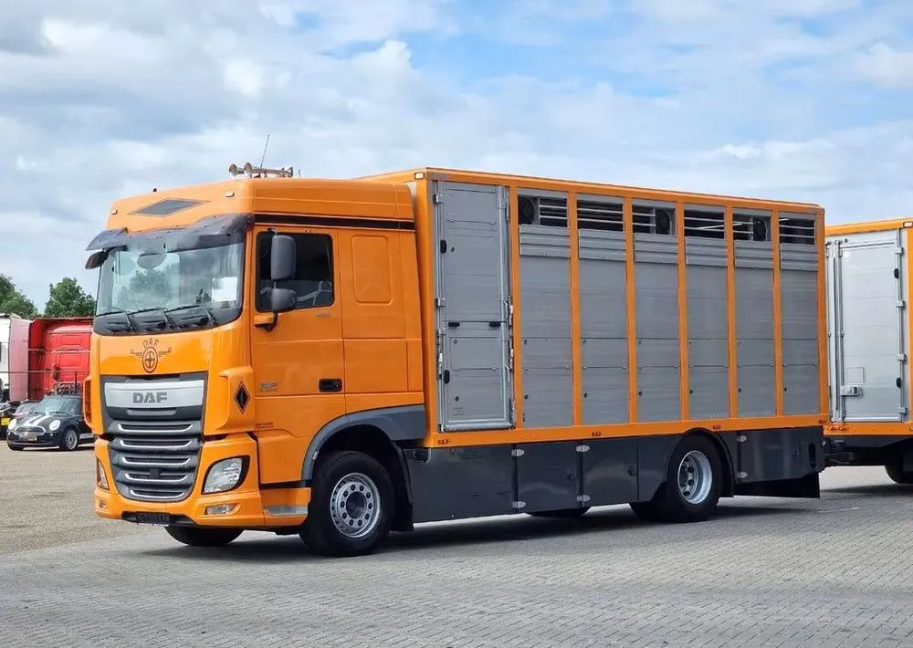 DAF XF 460 4x2 SpaceCab – Menke Livestock | 1 pokład | Euro 6 | 2016 - Kravas automašīna dzīvnieku pārvadāšanai: foto 2 DAF XF 460 4x2 SpaceCab – Menke Livestock | 1 pokład | Euro 6 | 2016 - Kravas automašīna dzīvnieku pārvadāšanai: foto 2