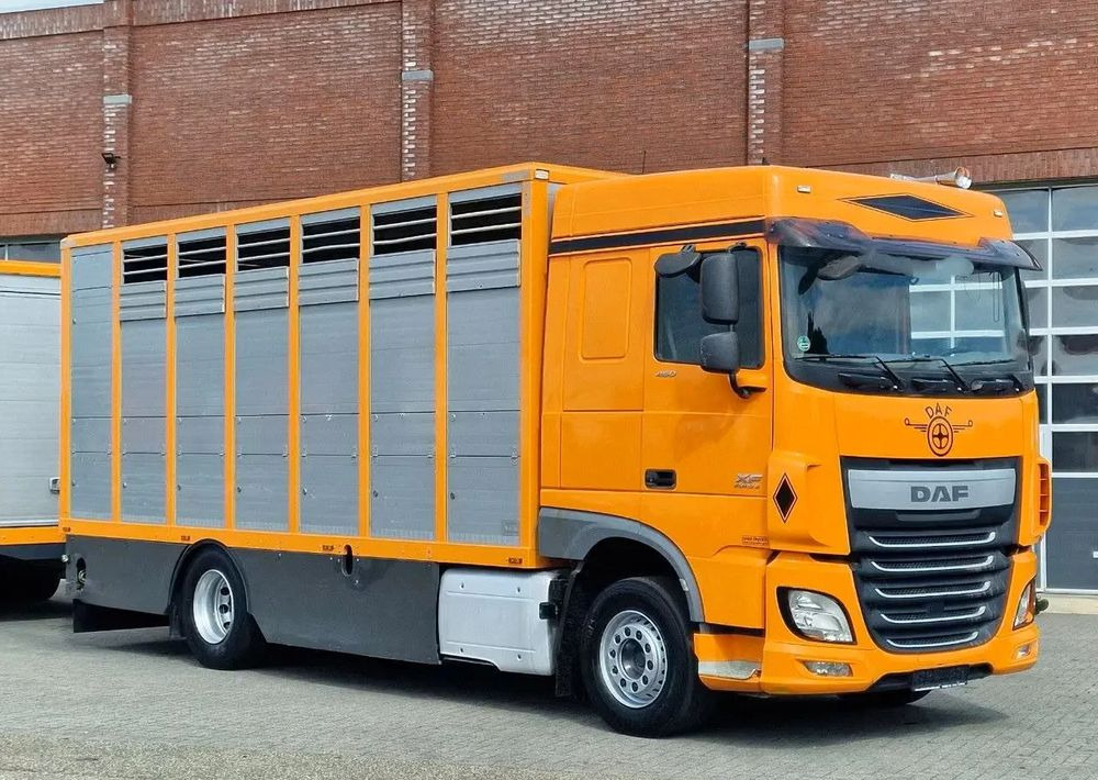 DAF XF 460 4x2 SpaceCab – Menke Livestock | 1 pokład | Euro 6 | 2016 - Kravas automašīna dzīvnieku pārvadāšanai: foto 4 DAF XF 460 4x2 SpaceCab – Menke Livestock | 1 pokład | Euro 6 | 2016 - Kravas automašīna dzīvnieku pārvadāšanai: foto 4