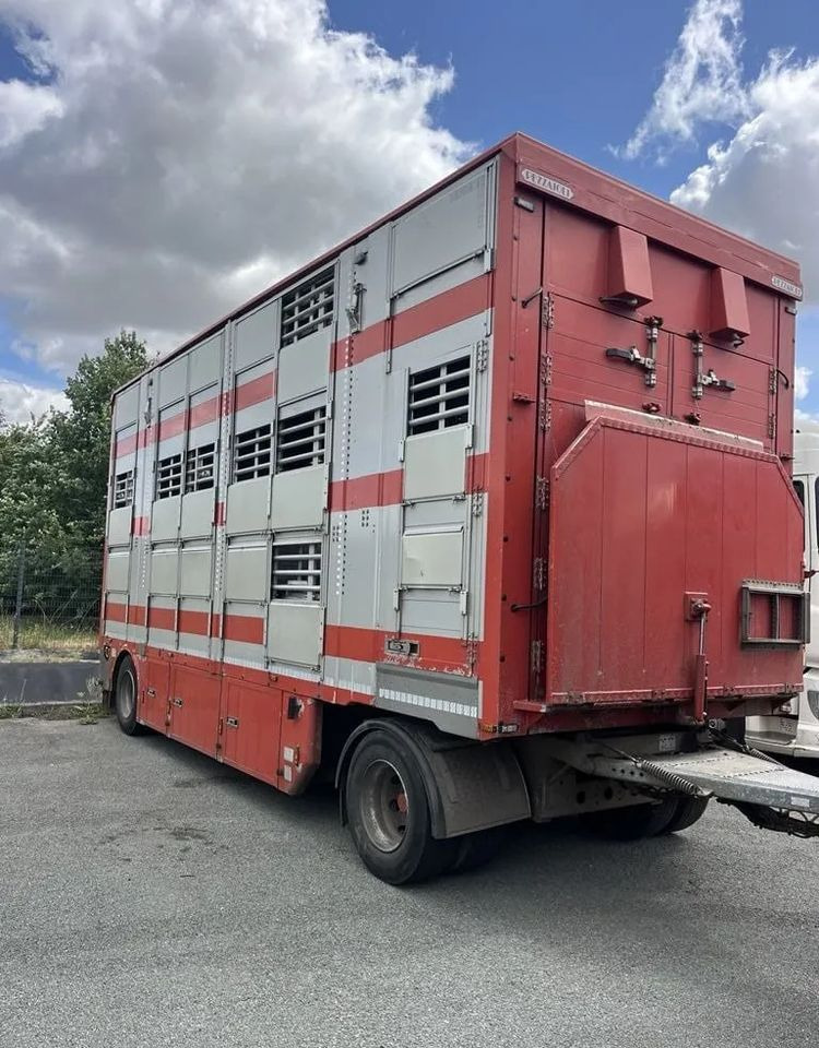 DAF XF 460 + Przyczepa Pezzaoli - 3X Trzoda, 2 X Bydło I 3 poziomy I Podnoszony dach I Hydroburta I Osie Skrętne I Poidła I Wentylatory I Pilot Manualny | Euro5 - Kravas automašīna dzīvnieku pārvadāšanai: foto 3 DAF XF 460 + Przyczepa Pezzaoli - 3X Trzoda, 2 X Bydło I 3 poziomy I Podnoszony dach I Hydroburta I Osie Skrętne I Poidła I Wentylatory I Pilot Manualny | Euro5 - Kravas automašīna dzīvnieku pārvadāšanai: foto 3