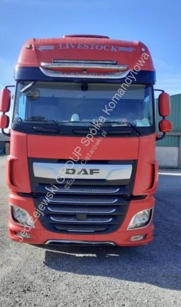 DAF XF - Kravas automašīna dzīvnieku pārvadāšanai: foto 1 DAF XF - Kravas automašīna dzīvnieku pārvadāšanai: foto 1