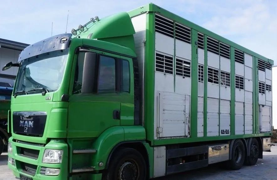 MAN TGS 26.440 ZABUDOWA KABA CAŁA ALUMINIOWA– samochód do transportu zwierząt/koni – 3 pokłady / EURO 5/6X2/PODNOSZONY DACH - Kravas automašīna dzīvnieku pārvadāšanai: foto 1 MAN TGS 26.440 ZABUDOWA KABA CAŁA ALUMINIOWA– samochód do transportu zwierząt/koni – 3 pokłady / EURO 5/6X2/PODNOSZONY DACH - Kravas automašīna dzīvnieku pārvadāšanai: foto 1