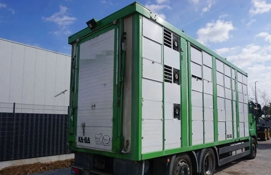 MAN TGS 26.440 ZABUDOWA KABA CAŁA ALUMINIOWA– samochód do transportu zwierząt/koni – 3 pokłady / EURO 5/6X2/PODNOSZONY DACH - Kravas automašīna dzīvnieku pārvadāšanai: foto 2 MAN TGS 26.440 ZABUDOWA KABA CAŁA ALUMINIOWA– samochód do transportu zwierząt/koni – 3 pokłady / EURO 5/6X2/PODNOSZONY DACH - Kravas automašīna dzīvnieku pārvadāšanai: foto 2