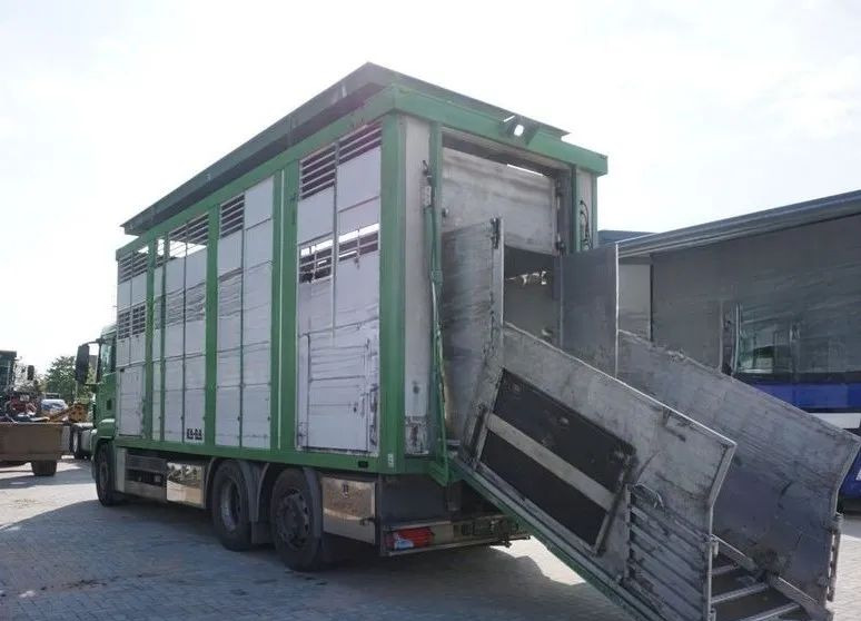 MAN TGS 26.440 ZABUDOWA KABA CAŁA ALUMINIOWA– samochód do transportu zwierząt/koni – 3 pokłady / EURO 5/6X2/PODNOSZONY DACH - Kravas automašīna dzīvnieku pārvadāšanai: foto 4 MAN TGS 26.440 ZABUDOWA KABA CAŁA ALUMINIOWA– samochód do transportu zwierząt/koni – 3 pokłady / EURO 5/6X2/PODNOSZONY DACH - Kravas automašīna dzīvnieku pārvadāšanai: foto 4