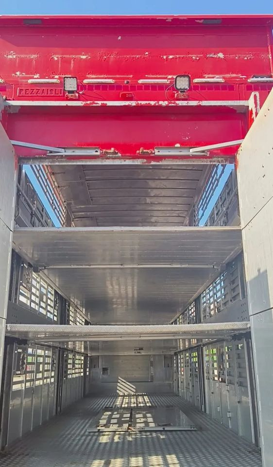 Puspiekabe dzīvnieku pārvadāšanai Pezzaioli NACZEPA  2017 / 3 POZIOMY / TRANSPORT ZWIERZĄT / HYDRAULIKA / STEROWANIE PILOTEM/ PODNOSZONY DACH /: foto 14