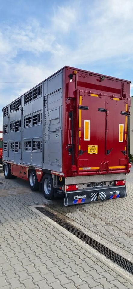 Pezzaioli RBA 32/TRZYOSIOWA PRZYCZEPA-2XBYDŁO,3X TRZODA - Piekabe dzīvnieku pārvadāšanai: foto 4 Pezzaioli RBA 32/TRZYOSIOWA PRZYCZEPA-2XBYDŁO,3X TRZODA - Piekabe dzīvnieku pārvadāšanai: foto 4