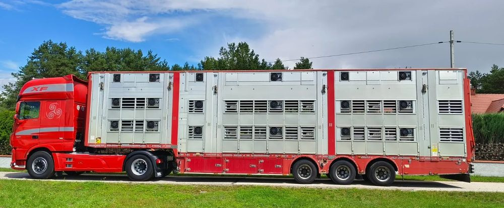 Pezzaioli SBA32/hydrauliczny dach/hydrauliczna rampa/ 3 poziomy/ 2xbydło -3xtrzoda/wentylatory/poidła/sterowanie pilotem - Puspiekabe dzīvnieku pārvadāšanai: foto 2 Pezzaioli SBA32/hydrauliczny dach/hydrauliczna rampa/ 3 poziomy/ 2xbydło -3xtrzoda/wentylatory/poidła/sterowanie pilotem - Puspiekabe dzīvnieku pārvadāšanai: foto 2