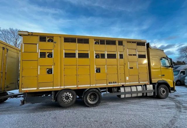 Volvo FH 420 • KABA • Transport Zwierząt 3xŚwinie/ 2xBydło 3-piętrowy • Euro 5 • Retarder • Oś podnoszona i skrętna - Kravas automašīna dzīvnieku pārvadāšanai: foto 2 Volvo FH 420 • KABA • Transport Zwierząt 3xŚwinie/ 2xBydło 3-piętrowy • Euro 5 • Retarder • Oś podnoszona i skrętna - Kravas automašīna dzīvnieku pārvadāšanai: foto 2