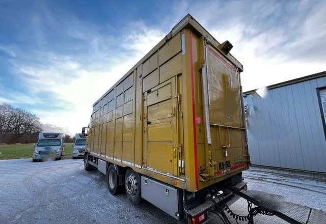 Volvo FH 420 • KABA • Transport Zwierząt 3xŚwinie/ 2xBydło 3-piętrowy • Euro 5 • Retarder • Oś podnoszona i skrętna - Kravas automašīna dzīvnieku pārvadāšanai: foto 4 Volvo FH 420 • KABA • Transport Zwierząt 3xŚwinie/ 2xBydło 3-piętrowy • Euro 5 • Retarder • Oś podnoszona i skrętna - Kravas automašīna dzīvnieku pārvadāšanai: foto 4